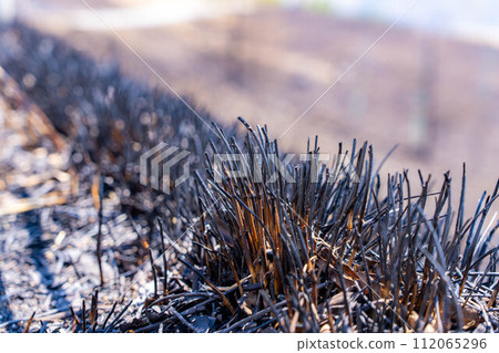 [Disaster image] Remains of wildfire in Kirigamine Highlands [Nagano Prefecture] 112065296