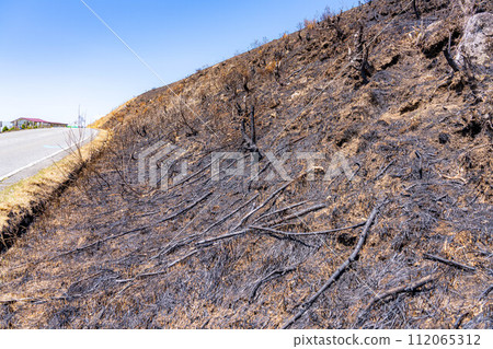 [Disaster image] Remains of wildfire in Kirigamine Highlands [Nagano Prefecture] 112065312