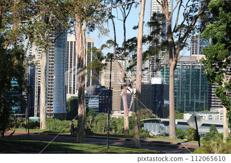 從國王公園鬱鬱蔥蔥的綠樹上欣賞珀斯市中心的景色 從國王公園鬱鬱蔥蔥的綠樹上欣賞珀斯市中心的景色 112065610