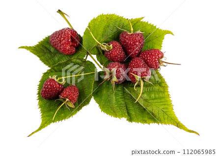 Raspberry with leaves. Raspberry isolated on white background. Raspberry with leaves. Raspberry isolated on white background. 112065985