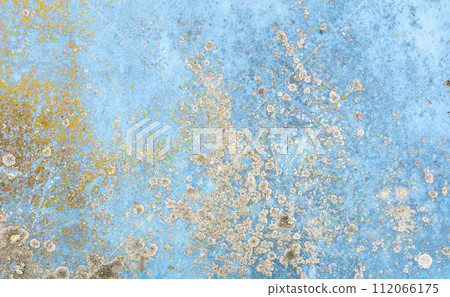 A wall painted with blue paint, damaged by mold patterns. 112066175