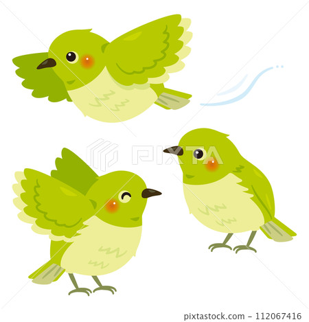 White-eye set White-eye set 112067416