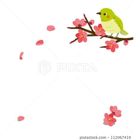 Red plum branches and white-eye Red plum branches and white-eye 112067419