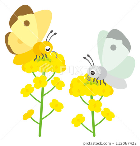 蝴蝶抽花蜂蜜 蝴蝶抽花蜂蜜 112067422