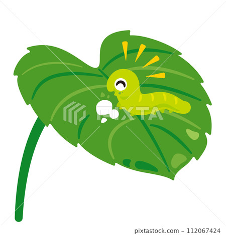 毛毛蟲吃樹葉 112067424