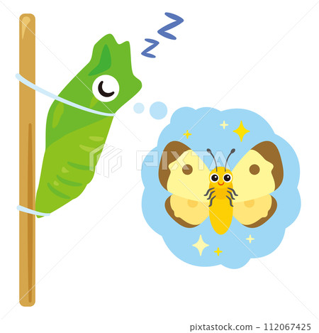 等待羽化的蛹 等待羽化的蛹 112067425