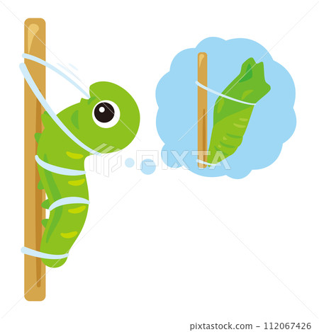 化蛹的幼蟲 化蛹的幼蟲 112067426