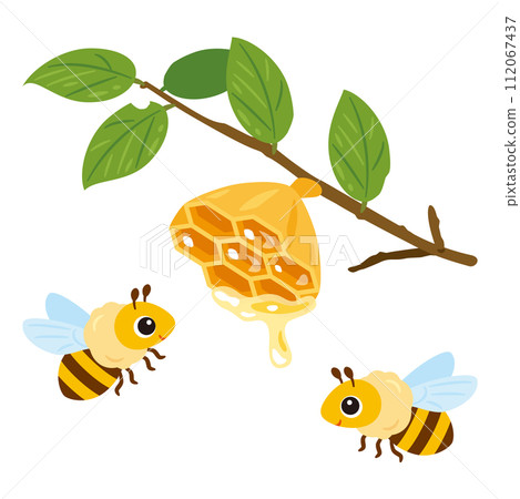 樹枝上的蜂巢和蜜蜂 112067437