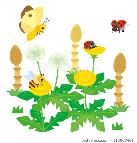 蒲公英、馬尾草和昆蟲 112067461