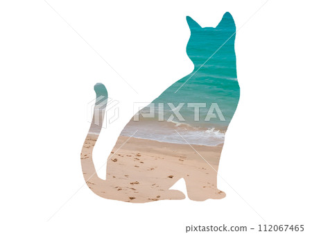 Silhouette of a sitting cat on a tropical beach 112067465