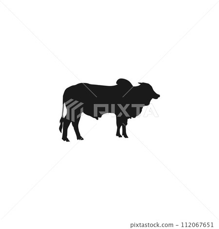 black cow logo vektor template 112067651