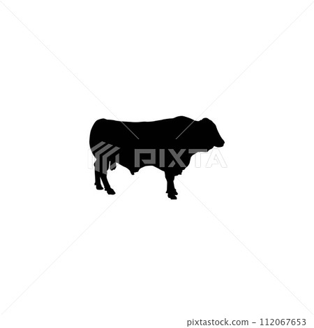 black cow logo vektor template black cow logo vektor template 112067653