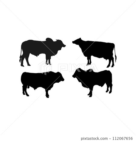 black cow logo vektor template 112067656