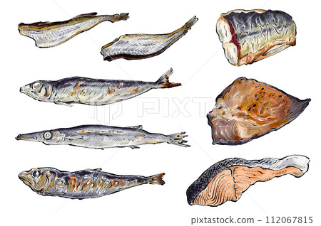 Grilled fish set hand-drawn illustration 112067815