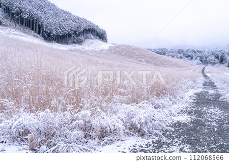 [Kanagawa Prefecture] Snowy scenery of Hakone and snowy Sengokuhara 112068566