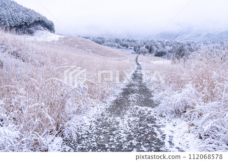 [Kanagawa Prefecture] Snowy scenery of Hakone and snowy Sengokuhara 112068578