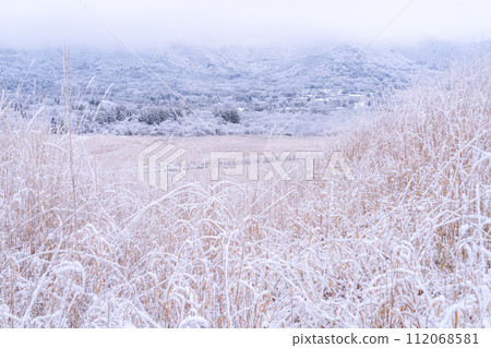 [Kanagawa Prefecture] Snowy scenery of Hakone and snowy Sengokuhara 112068581