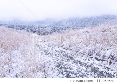【神奈川縣】箱根的雪景和白雪皚皚的仙石原 【神奈川縣】箱根的雪景和白雪皚皚的仙石原 112068620