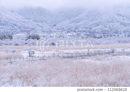 【神奈川縣】箱根的雪景和白雪皚皚的仙石原 112068628