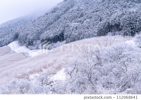 [Kanagawa Prefecture] Snowy scenery of Hakone and snowy Sengokuhara 112068641