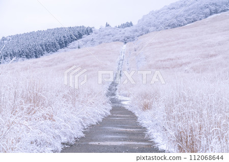 [Kanagawa Prefecture] Snowy scenery of Hakone and snowy Sengokuhara 112068644
