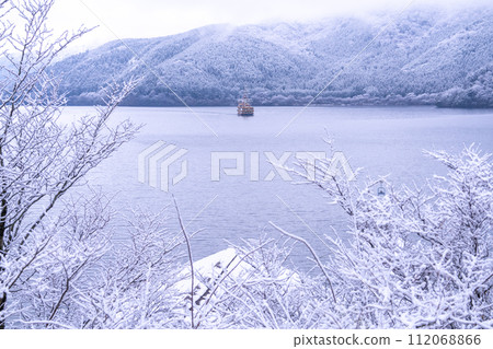 [Kanagawa Prefecture] Snowy Lake Ashi/Hakone Pirate Ship 112068866
