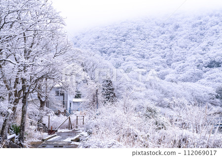 [Kanagawa Prefecture] Snowy Lake Ashi/Hakone in winter 112069017