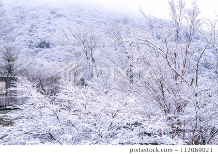[神奈川縣] 冬天的蘆之湖/箱根 112069021
