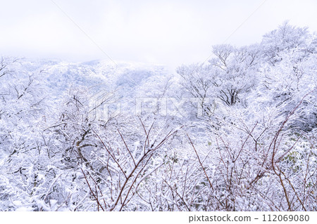 [神奈川縣]箱根和代官山的雪景 112069080