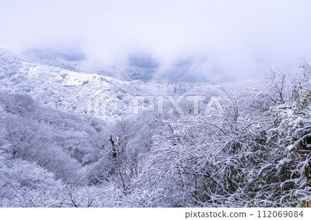 [神奈川縣]箱根和代官山的雪景 112069084