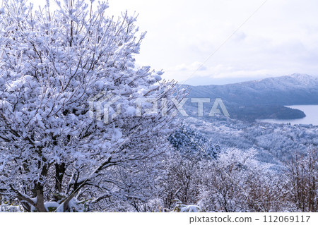 [神奈川縣]箱根和代官山的雪景 112069117