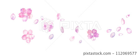 Watercolor. Spring cherry blossom vector illustration with watercolor touch. Japanese style frame and background of cherry blossom petals. Watercolor. Spring cherry blossom vector illustration with watercolor touch. Japanese style frame and background of cherry blossom petals. 112069577