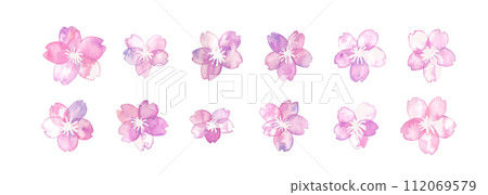Watercolor. Spring cherry blossom vector illustration with watercolor touch. Japanese style frame and background of cherry blossom petals. Watercolor. Spring cherry blossom vector illustration with watercolor touch. Japanese style frame and background of cherry blossom petals. 112069579