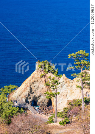 (靜岡縣)西水小鹿崎,早盛開的櫻花盛開 (靜岡縣)西水小鹿崎,早盛開的櫻花盛開 112069637