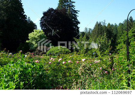 The Butchart Gardens famous gardens of Butchert on Victoria Island. Canada. High quality 4k footage The Butchart Gardens famous gardens of Butchert on Victoria Island. Canada. High quality 4k footage 112069697