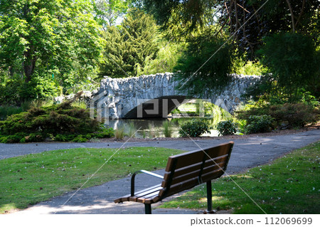Wildlife trees in spring and summer in the greenery leaves pond beautiful weather Walk in the city center Beacon Hill park Victoria Canada BC . High quality 4k footage Wildlife trees in spring and summer in the greenery leaves pond beautiful weather Walk in the city center Beacon Hill park Victoria Canada BC . High quality 4k footage 112069699