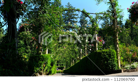 The Butchart Gardens famous gardens of Butchert on Victoria Island. Rose garden Canada. High quality 4k footage The Butchart Gardens famous gardens of Butchert on Victoria Island. Rose garden Canada. High quality 4k footage 112069700