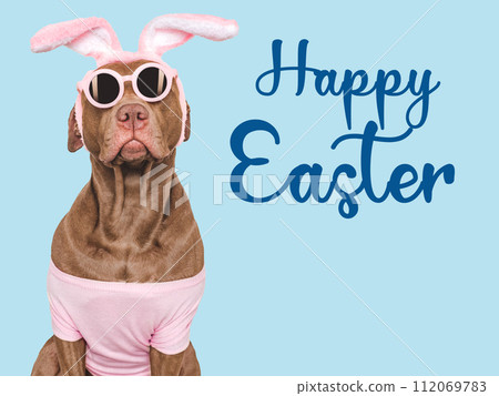 Happy Easter. Brown dog and a basket of Easter eggs 112069783