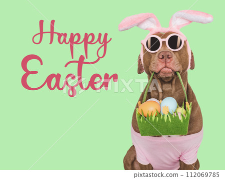 Happy Easter. Brown dog and a basket of Easter eggs 112069785