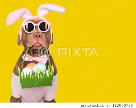 Happy Easter. Brown dog and a basket of Easter eggs Happy Easter. Brown dog and a basket of Easter eggs 112069788