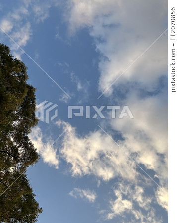 日落藍天 112070856