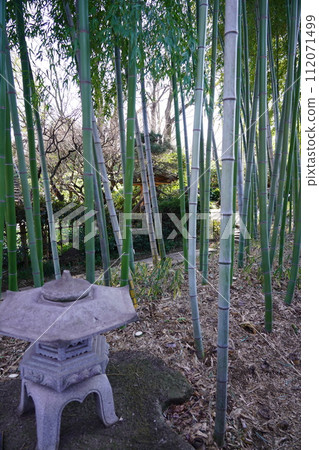 Japanese garden Japanese garden 112071499