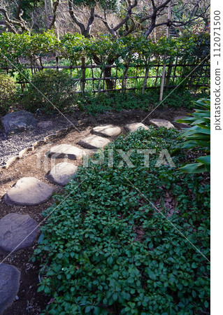 Cobble Cobble 112071500
