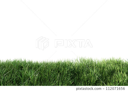 Close up view of lush green grass fresh nature isolated on white background with clipping path 3d render Close up view of lush green grass fresh nature isolated on white background with clipping path 3d render 112071656