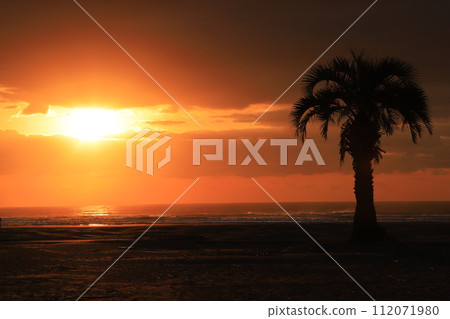Sunrise seen from the coast Sunrise seen from the coast 112071980