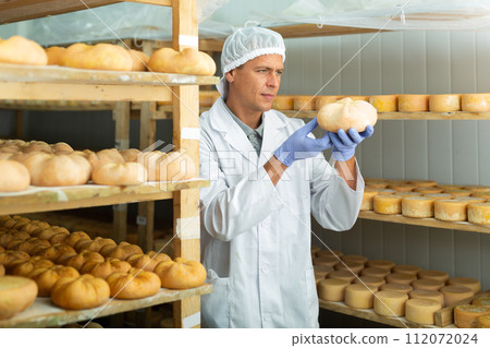 Cheesemaker checking aging process of cheese in maturing chamber 112072024