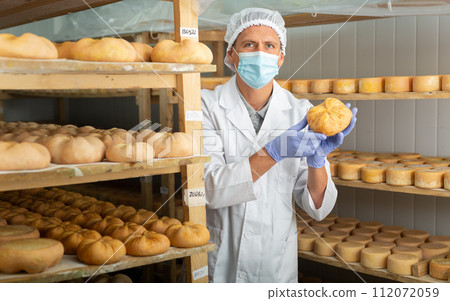 Cheese dairy worker in protective mask checks the quality of the cheese. Numbers on white pieces of paper are date when cheese was put into ripening chamber 112072059