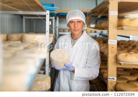 Handsome cheese maker checking aging process of goat cheese standing at small cellar. Numbers on white pieces of paper are date when cheese was put into ripening chamber 112072094