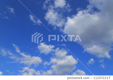 櫻花盛開預示著春天的到來 112072217