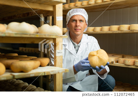 Handsome cheese maker checking aging process of goat cheese standing at small cellar. Numbers on white pieces of paper are date when cheese was put into ripening chamber 112072465